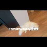 ヒメ日記 2026/06/17 12:10 投稿 美月(みづき) グランドオペラ福岡