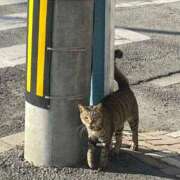 ヒメ日記 2026/01/27 15:51 投稿 若菜(わかな) グランドオペラ福岡