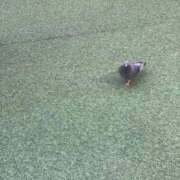 ヒメ日記 2026/02/16 21:11 投稿 若菜(わかな) グランドオペラ福岡