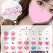 ヒメ日記 2026/03/07 12:19 投稿 ひみつ 蒲田ちゃんこ