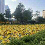 ヒメ日記 2026/01/26 19:31 投稿 エマ クラブレア南大阪