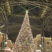 ヒメ日記 2026/02/06 19:41 投稿 エマ クラブレア南大阪