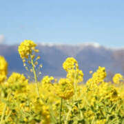 ヒメ日記 2026/02/19 20:31 投稿 エマ クラブレア南大阪