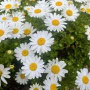 ヒメ日記 2026/02/23 20:40 投稿 エマ クラブレア南大阪