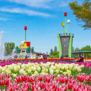 エマ 合言葉🌼 クラブレア南大阪