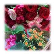 ヒメ日記 2026/04/15 11:32 投稿 りん ちょいぽちゃMAX 鯖江店