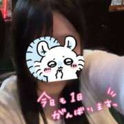 ヒメ日記 2026/01/17 14:19 投稿 ゆな スピードエコ日本橋店