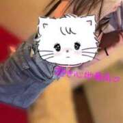 ヒメ日記 2026/02/07 00:49 投稿 ゆな スピードエコ日本橋店