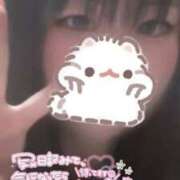 ヒメ日記 2026/02/23 12:09 投稿 ゆな スピードエコ日本橋店