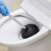 ヒメ日記 2026/01/16 12:08 投稿 らい マネキン 名駅店