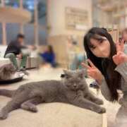 ヒメ日記 2026/02/14 16:00 投稿 夢藤佑実 ハールブルク