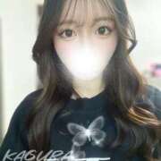 れの 上から？下から？ 姫コレクション