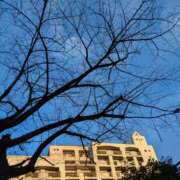 ヒメ日記 2026/01/23 10:20 投稿 あいさ 奥鉄オクテツ東京店（デリヘル市場）