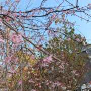 ヒメ日記 2026/03/23 17:35 投稿 あいさ 奥鉄オクテツ東京店（デリヘル市場）