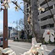 ヒメ日記 2026/03/26 15:20 投稿 あいさ 奥鉄オクテツ東京店（デリヘル市場）