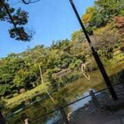 ヒメ日記 2026/10/17 10:10 投稿 あいさ 奥鉄オクテツ東京店（デリヘル市場）