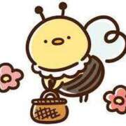 ヒメ日記 2026/03/29 12:07 投稿 しゅうか ビギナーズ神戸