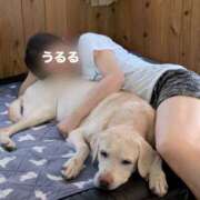 ヒメ日記 2026/02/01 15:46 投稿 Ururu THE RICH