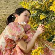 ヒメ日記 2026/03/17 14:37 投稿 Ururu THE RICH