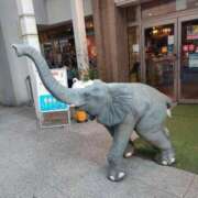 ヒメ日記 2026/01/21 12:31 投稿 ひかり 妻天 日本橋店