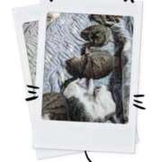 ヒメ日記 2026/02/22 19:00 投稿 涼香【すずか】 丸妻 西船橋店