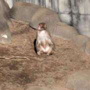 ヒメ日記 2026/02/25 10:28 投稿 涼香【すずか】 丸妻 西船橋店