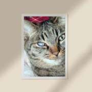 ヒメ日記 2026/02/28 18:58 投稿 涼香【すずか】 丸妻 西船橋店