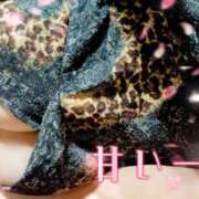 ヒメ日記 2026/03/08 20:47 投稿 涼香【すずか】 丸妻 西船橋店