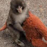 ヒメ日記 2026/03/20 18:30 投稿 涼香【すずか】 丸妻 西船橋店