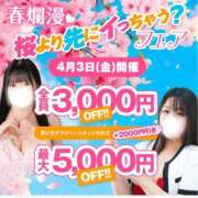 ヒメ日記 2026/04/02 12:31 投稿 涼香【すずか】 丸妻 西船橋店