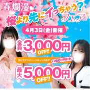 ヒメ日記 2026/04/03 09:13 投稿 涼香【すずか】 丸妻 西船橋店