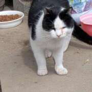 ヒメ日記 2026/04/04 09:57 投稿 涼香【すずか】 丸妻 西船橋店