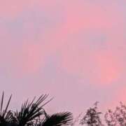 ヒメ日記 2026/04/19 19:53 投稿 涼香【すずか】 丸妻 西船橋店