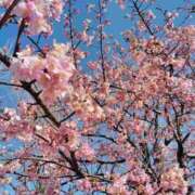 ヒメ日記 2026/02/13 16:51 投稿 ゆま 王冠-crown-