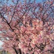 ヒメ日記 2026/02/23 19:39 投稿 ゆま 王冠-crown-