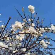 ヒメ日記 2026/03/21 16:44 投稿 ゆま 王冠-crown-