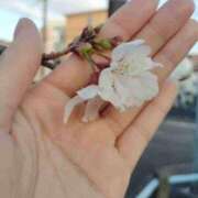 ヒメ日記 2026/03/24 20:55 投稿 ゆま 王冠-crown-