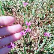 ヒメ日記 2026/05/02 08:45 投稿 ゆま 王冠-crown-