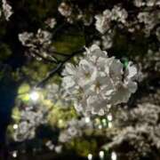 ヒメ日記 2026/03/30 06:15 投稿 奈海(なみ) グランドオペラ横浜