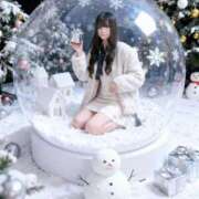 ヒメ日記 2026/01/11 08:00 投稿 ふわり ダイスキ