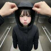 ヒメ日記 2026/01/18 06:00 投稿 ふわり ダイスキ