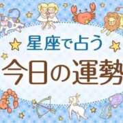 ヒメ日記 2026/01/19 06:00 投稿 ふわり ダイスキ