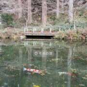 ヒメ日記 2026/01/20 14:00 投稿 ふわり ダイスキ