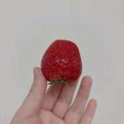 ヒメ日記 2026/02/09 15:25 投稿 さやか 完全密室 無抵抗