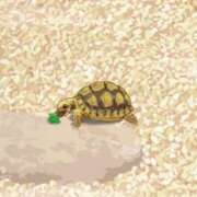 ヒメ日記 2026/02/10 20:18 投稿 さやか 完全密室 無抵抗