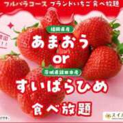 ヒメ日記 2026/03/03 16:29 投稿 さやか 完全密室 無抵抗