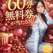 ヒメ日記 2026/02/22 15:00 投稿 すみれ 京都ホテヘル倶楽部