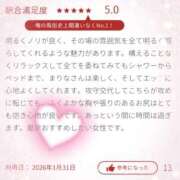 ヒメ日記 2026/02/01 19:49 投稿 まりな 東京人妻セレブリティ（ユメオト）