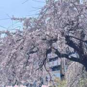 ヒメ日記 2026/03/28 13:42 投稿 まりな 東京人妻セレブリティ（ユメオト）