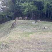 ヒメ日記 2026/04/14 18:57 投稿 まりな 東京人妻セレブリティ（ユメオト）